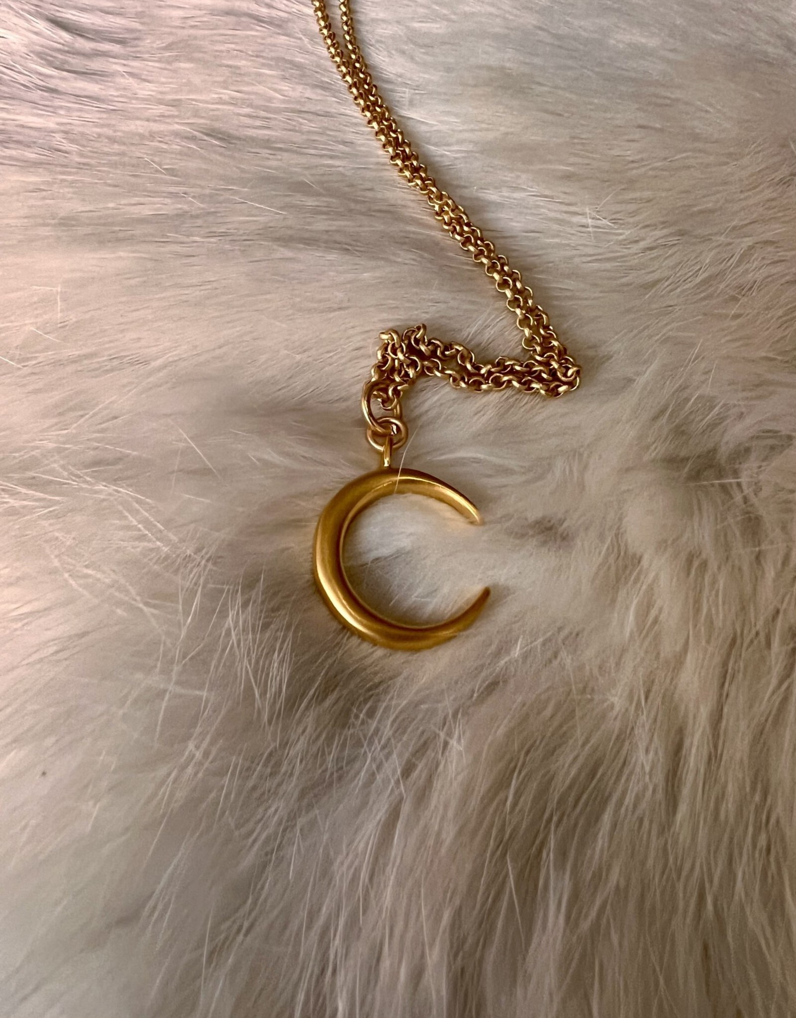 Dani Awesome Waxing Moon Medallion Pendant