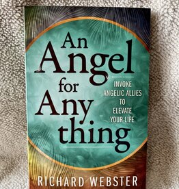 An Angel for Anything by Richard Webster