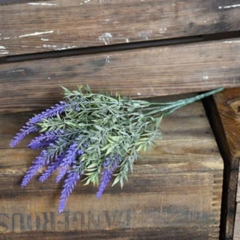 Pd Home Garden Lavender Bush Loyal Tee Boutique