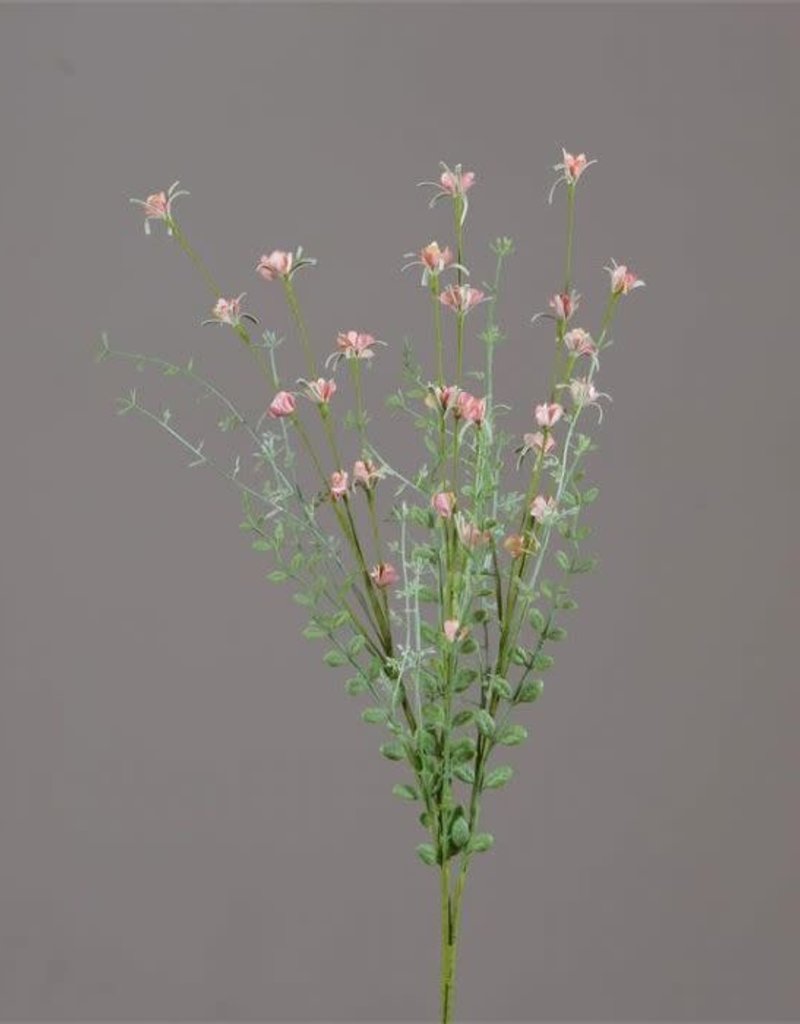 Mullberry Coral Baby's Breath Stem