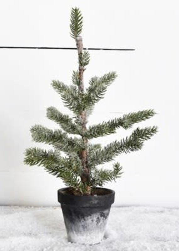 Pd Home & Garden 16" Tree in Charcoal Pot
