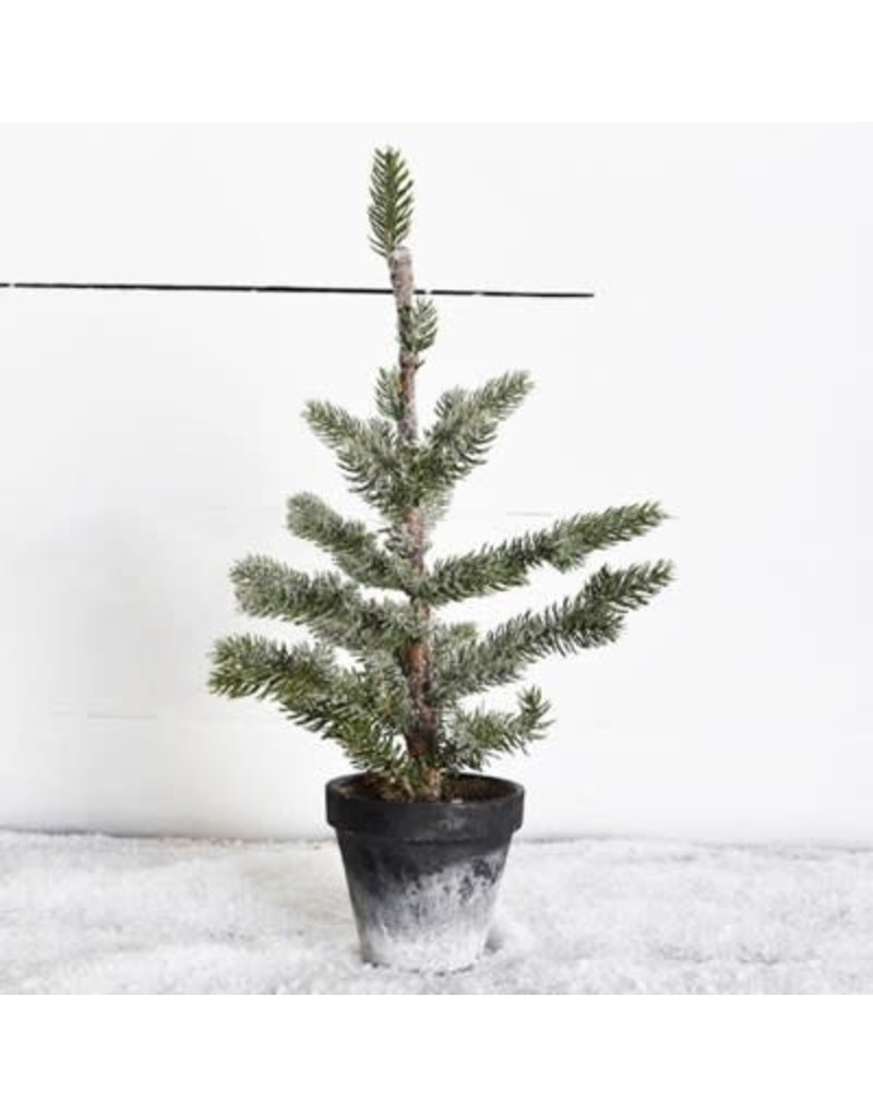 Pd Home & Garden 16" Tree in Charcoal Pot