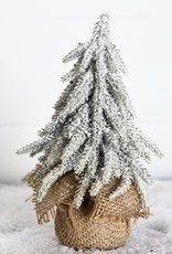 Pd Home & Garden 8" Frosted Tree in Burlap