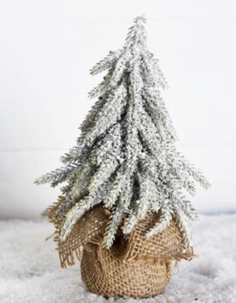 Pd Home & Garden 8" Frosted Tree in Burlap