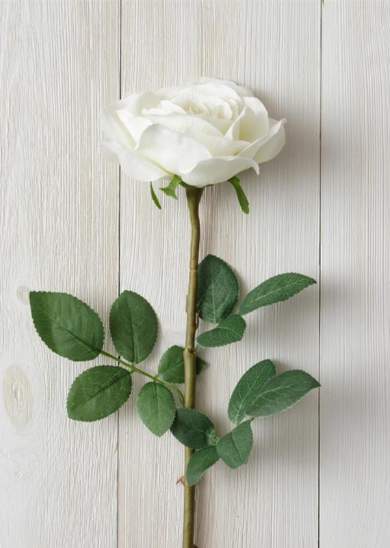 Audrey's White Rose Branch