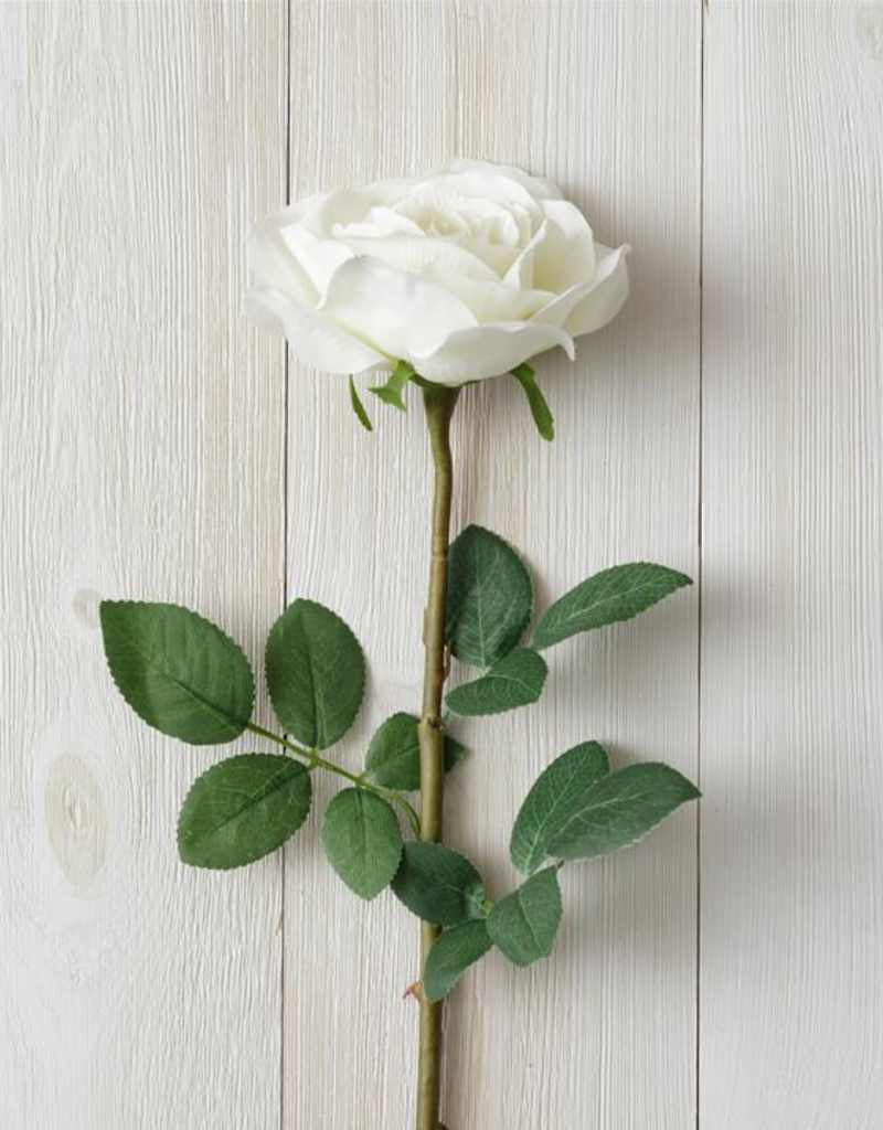 Audrey's White Rose Branch