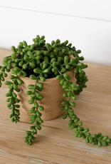 Audrey's Faux Potted String of Pearls Plant