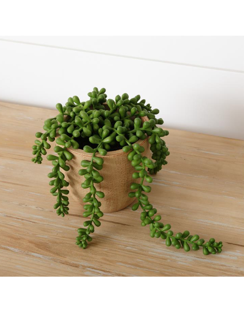 Artificial Succulent, String of Pearls, Succulent, String of