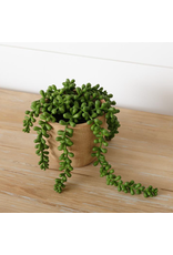 Audrey's Faux Potted String of Pearls Plant