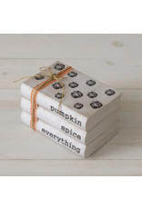 Audrey's Pumpkin Spice Everything Stacked Books