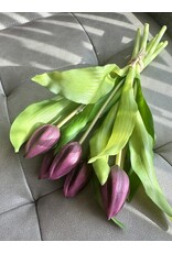 WS Home Decor 12" Dark Purple Tulip Bundles