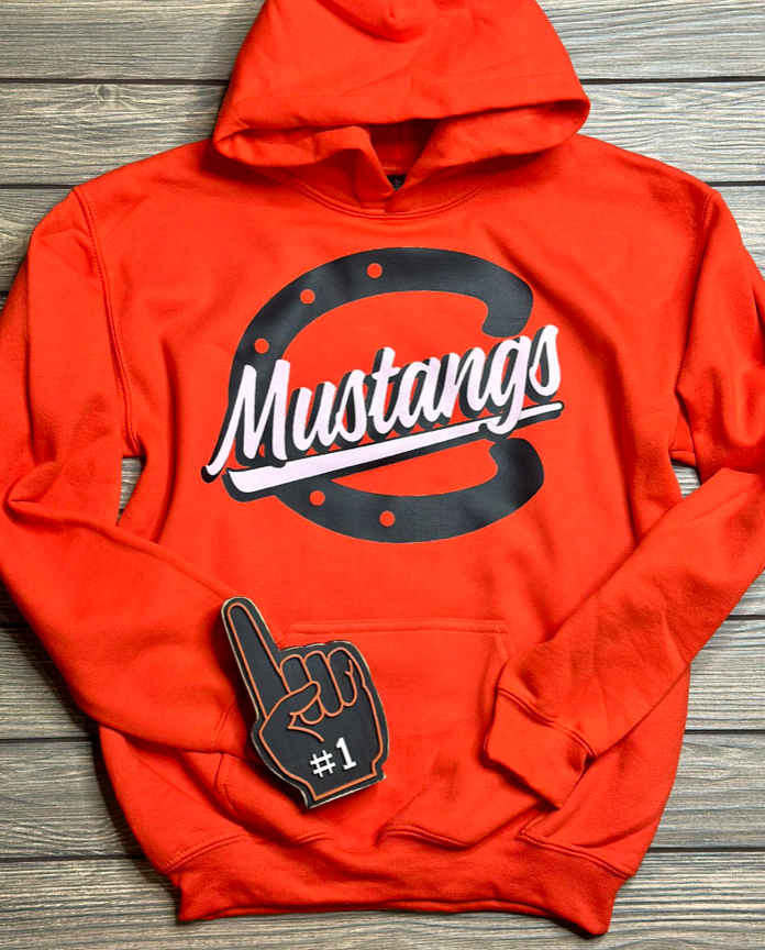 *School Spirit: ORDER ALL SEASON - TAT IS 7-10 Business days from the following Monday!