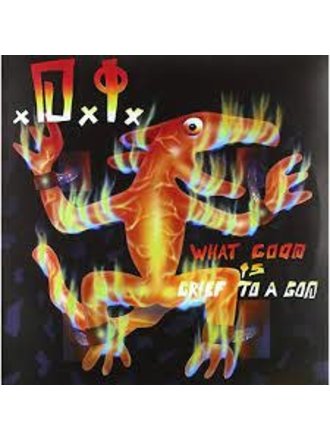D.I. What Good Is Grief To A God LP