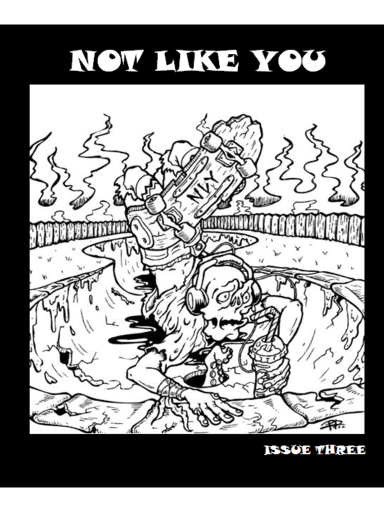 Not Like You Zine Issue 3