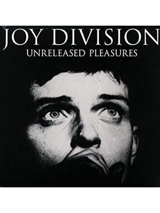 Joy Division Unreleased Pleasures LP