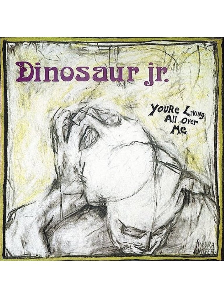 Dinosaur Jr. You’re Living All Over Me LP