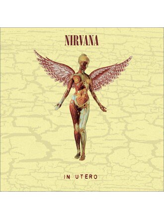 Nirvana In Utero LP