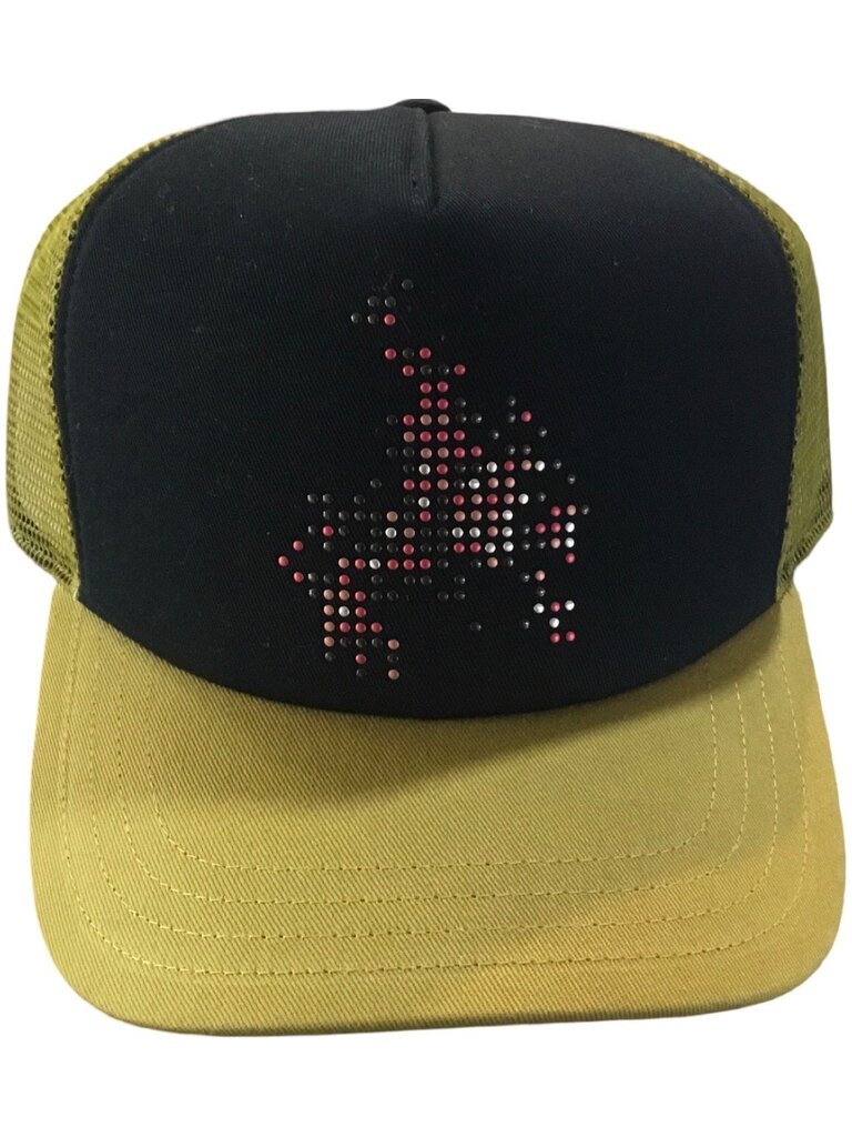 Vans Vans Skate Flame Trucker Hat Burnt Gold