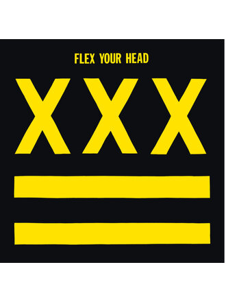 V/A Flex Your Head Dischord Record comp LP