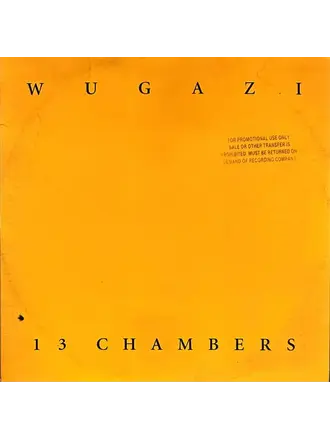 Wugazi - 13 Chambers (Wutang/Fugazi Mash Up) LP