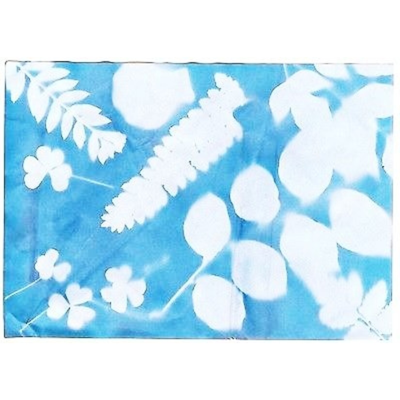 Toysmith Solar Print Paper 12PG