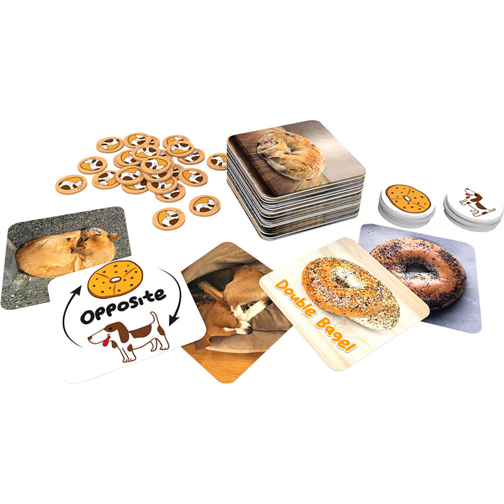 Blue Orange Beagle or Bagel?