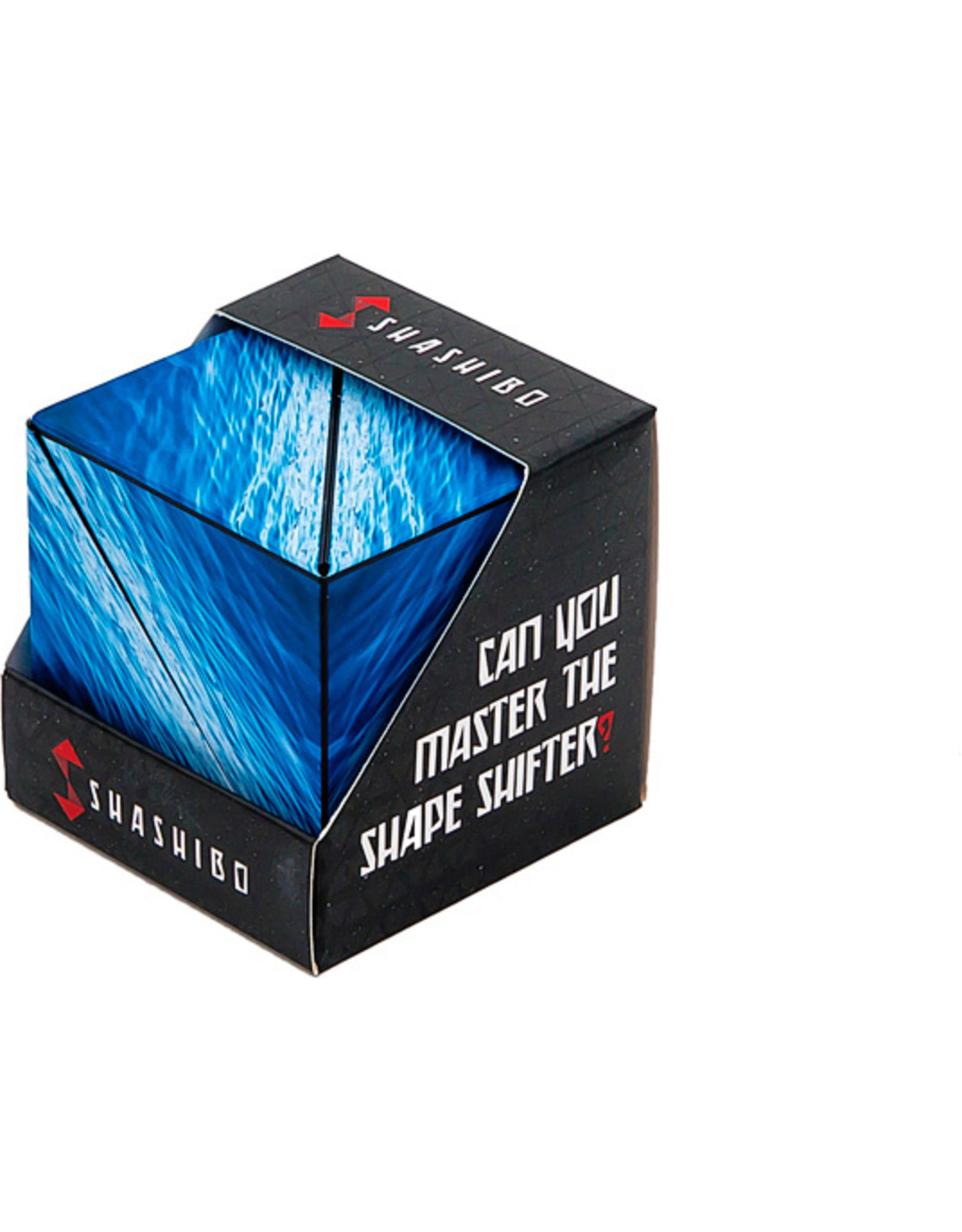 fun in motion shashibo