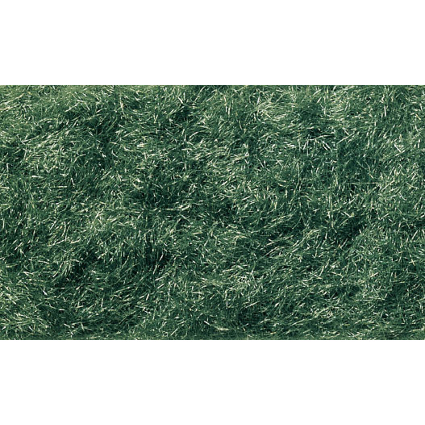 Woodland Scenics FL636 - Grass Flock Shaker, Dark Green