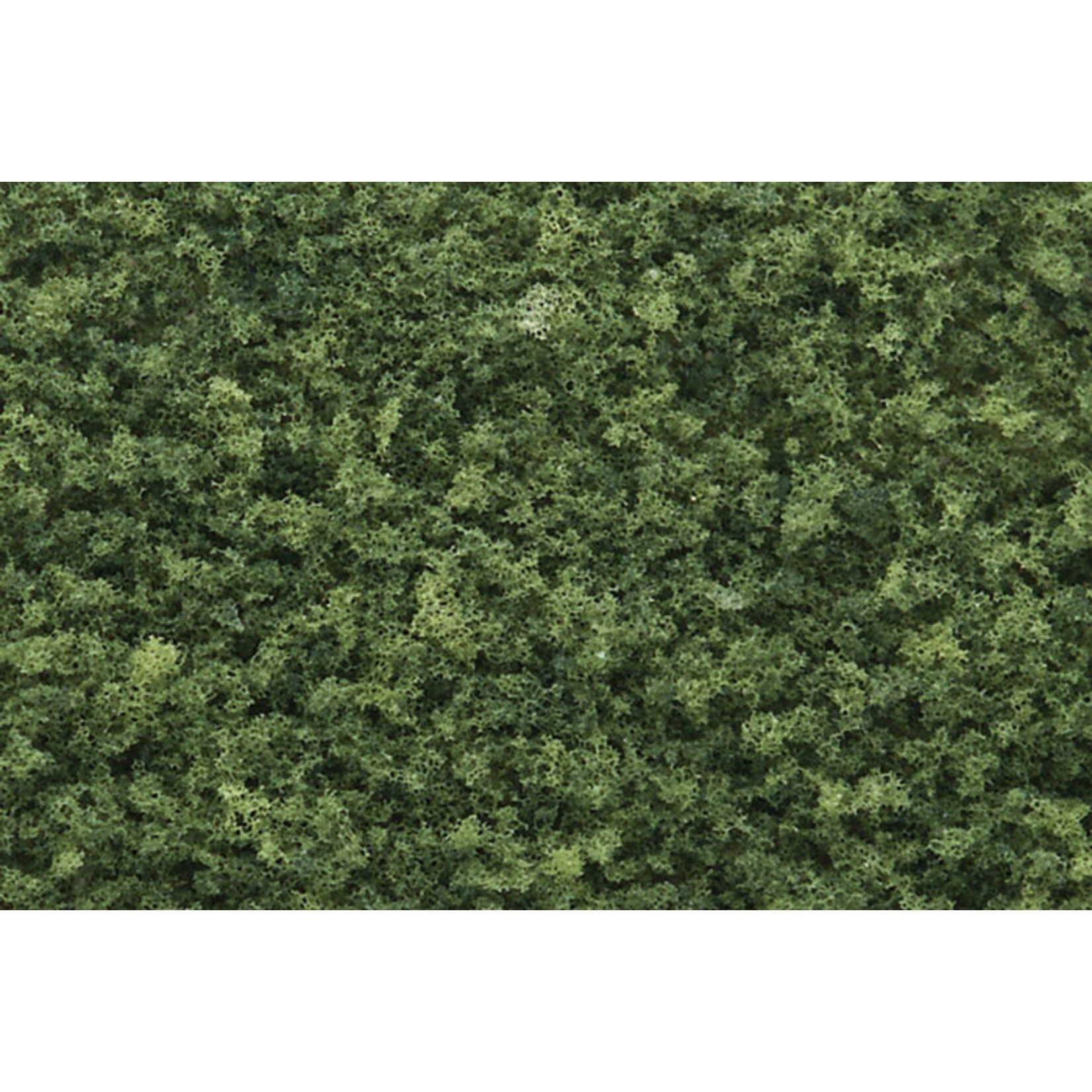 Woodland Scenics T1364 - Coarse Turf Shaker, Medium Green