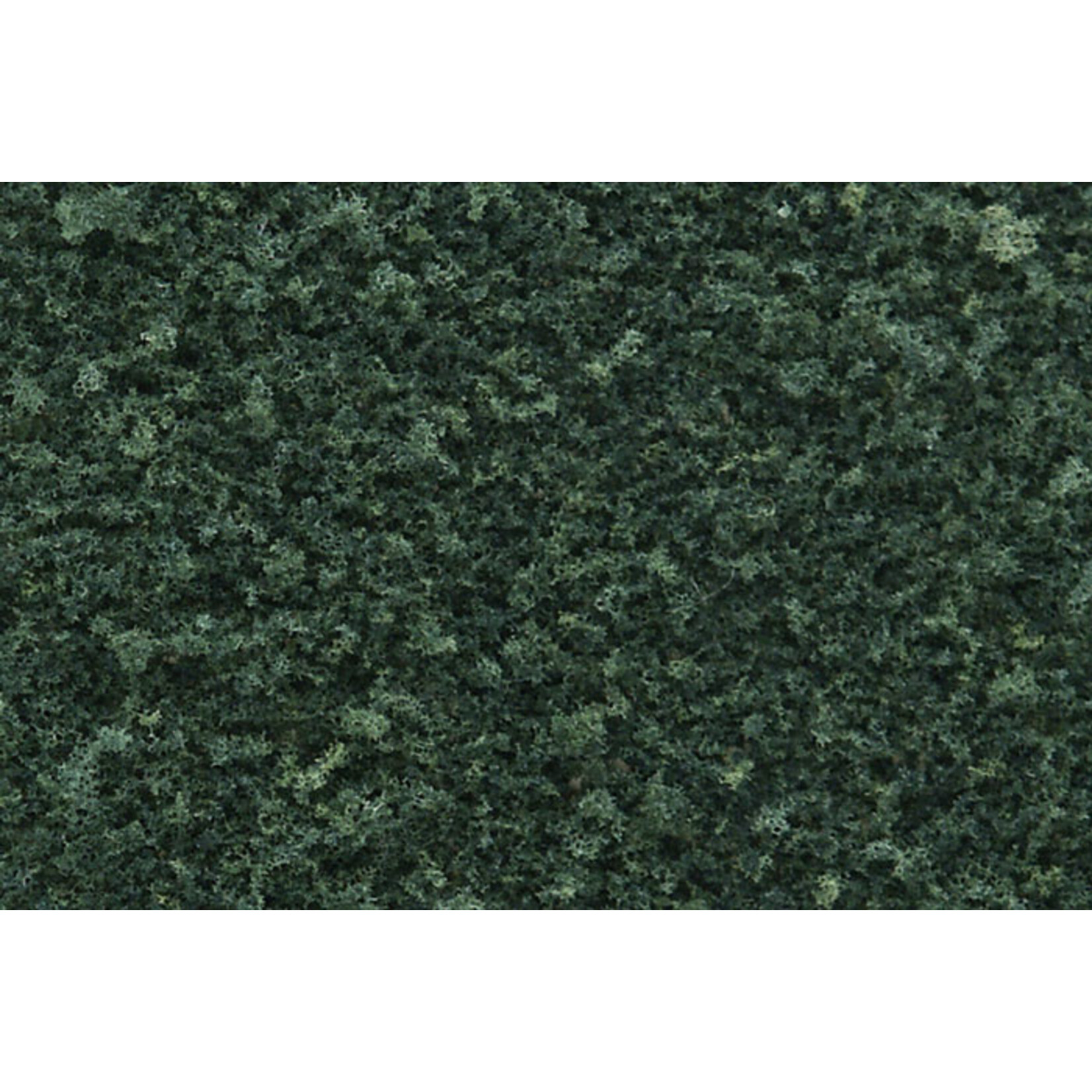 Woodland Scenics T1365 - Coarse Turf Shaker, Dark Green