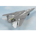 Hot Wings F-14 Tomcat (Jolly Rodgers)- 14126