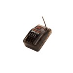 Spektrum SR315 - 3 Channel DSMR Sport Receiver