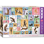 Eurographics Yoga Cats - 1000 Piece Puzzle