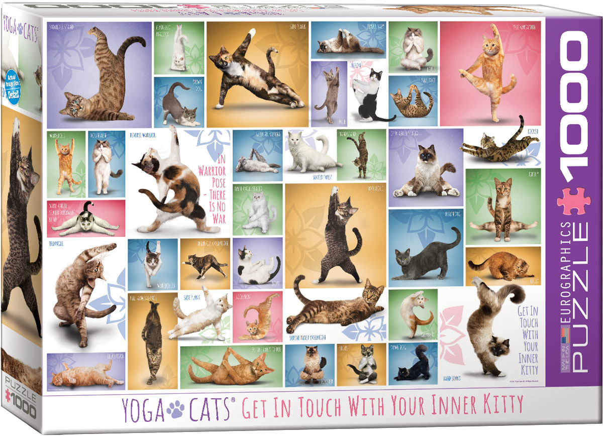 Yoga Cats - 1000 Piece Puzzle