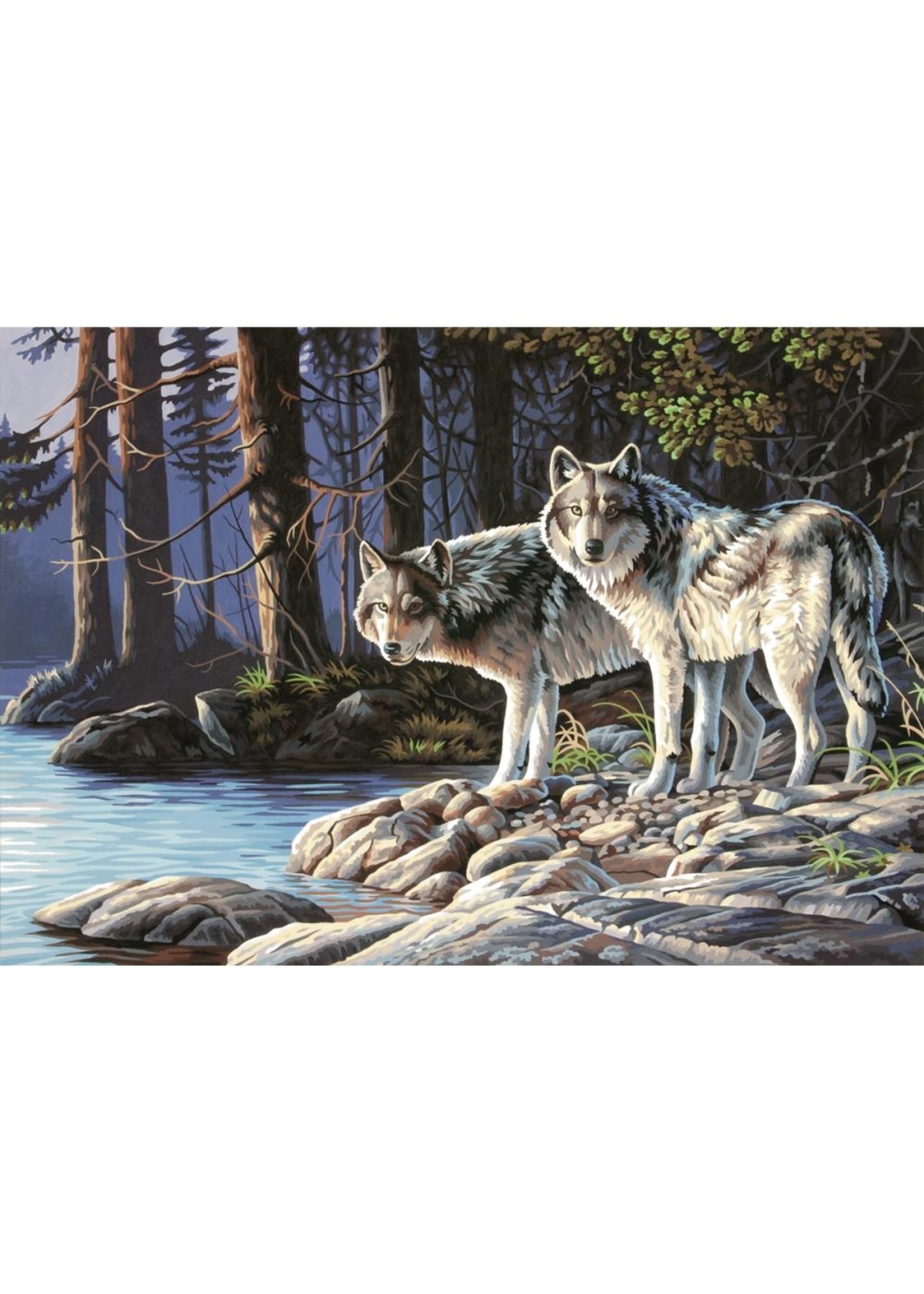 Dimensions Gray Wolves - 14x20 - Paint By Number