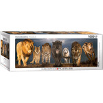 Eurographics Big Cats - 1000 Piece Panoramic Puzzle