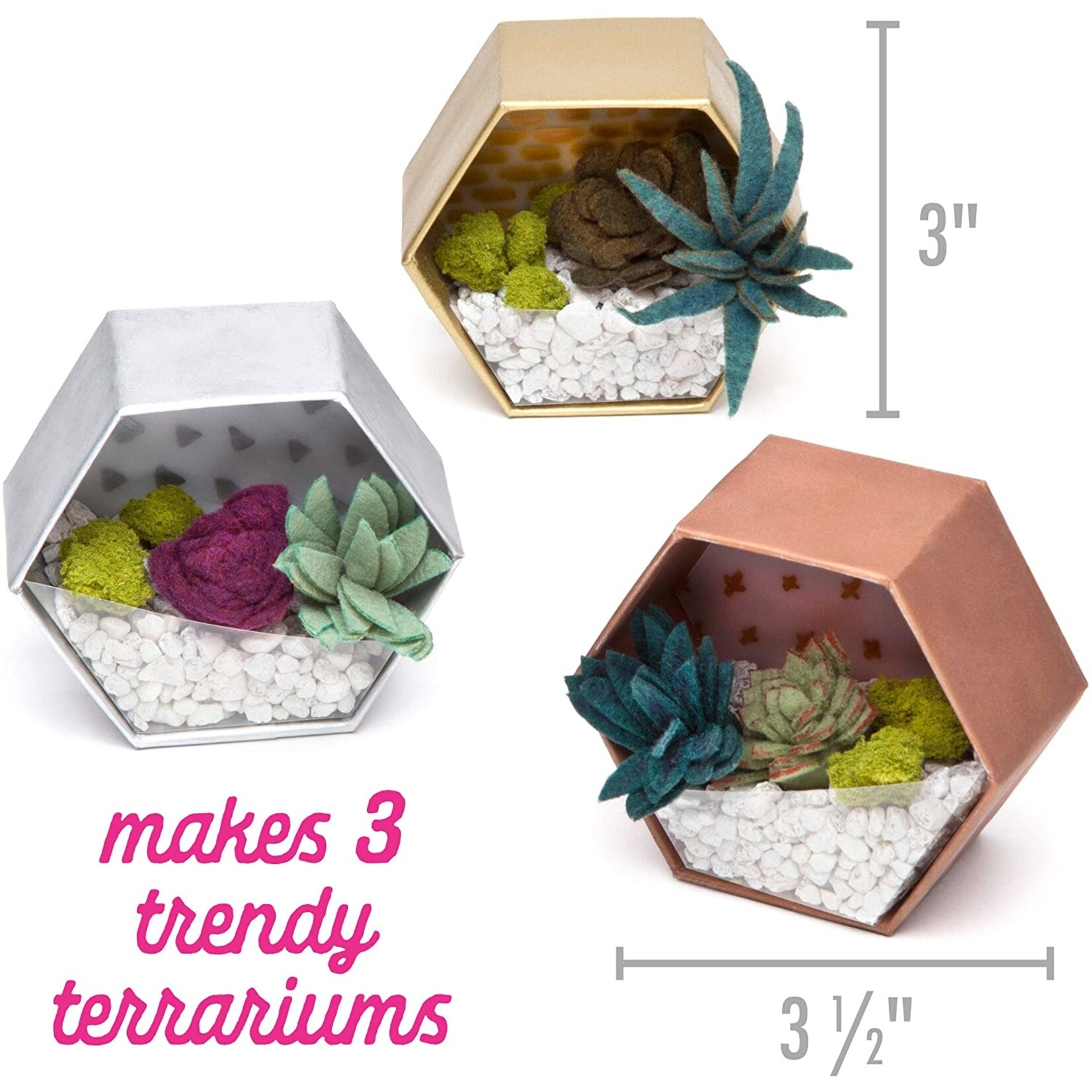 Ann Williams Group Mini Terrariums /4