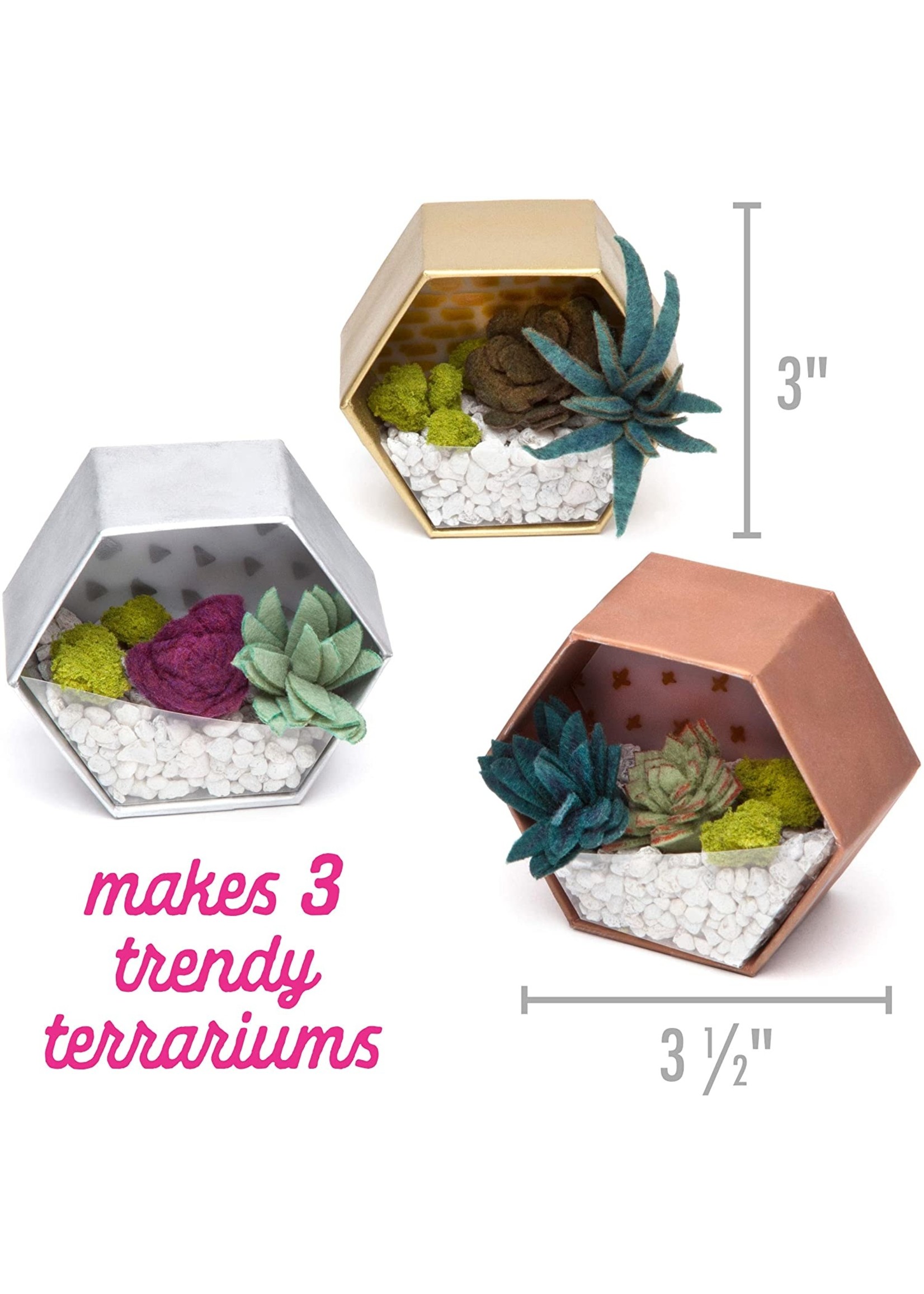 Ann Williams Group Mini Terrariums /4
