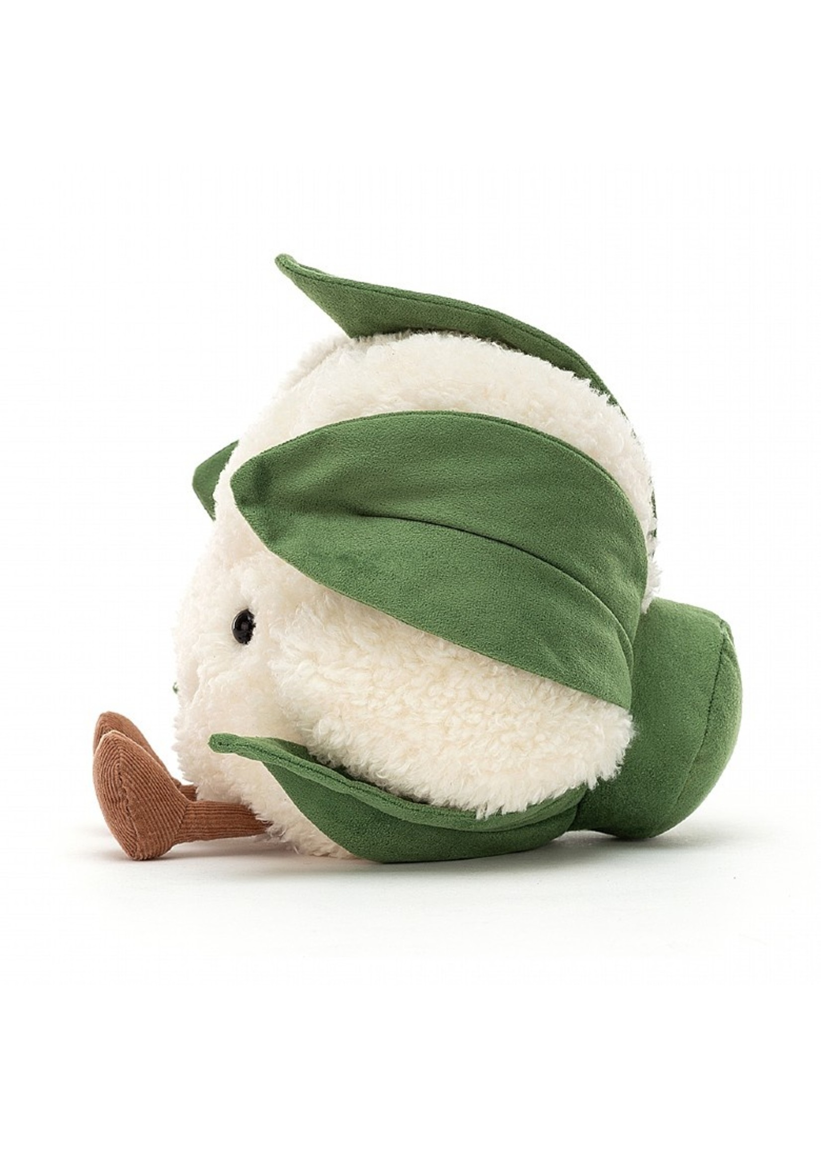 Amuseable Cauliflower Hub Hobby