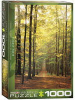 Eurographics Forest Path - 1000 Piece Puzzle