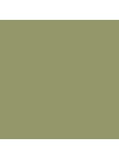 70.857 - Model Color Golden Olive - Hub Hobby