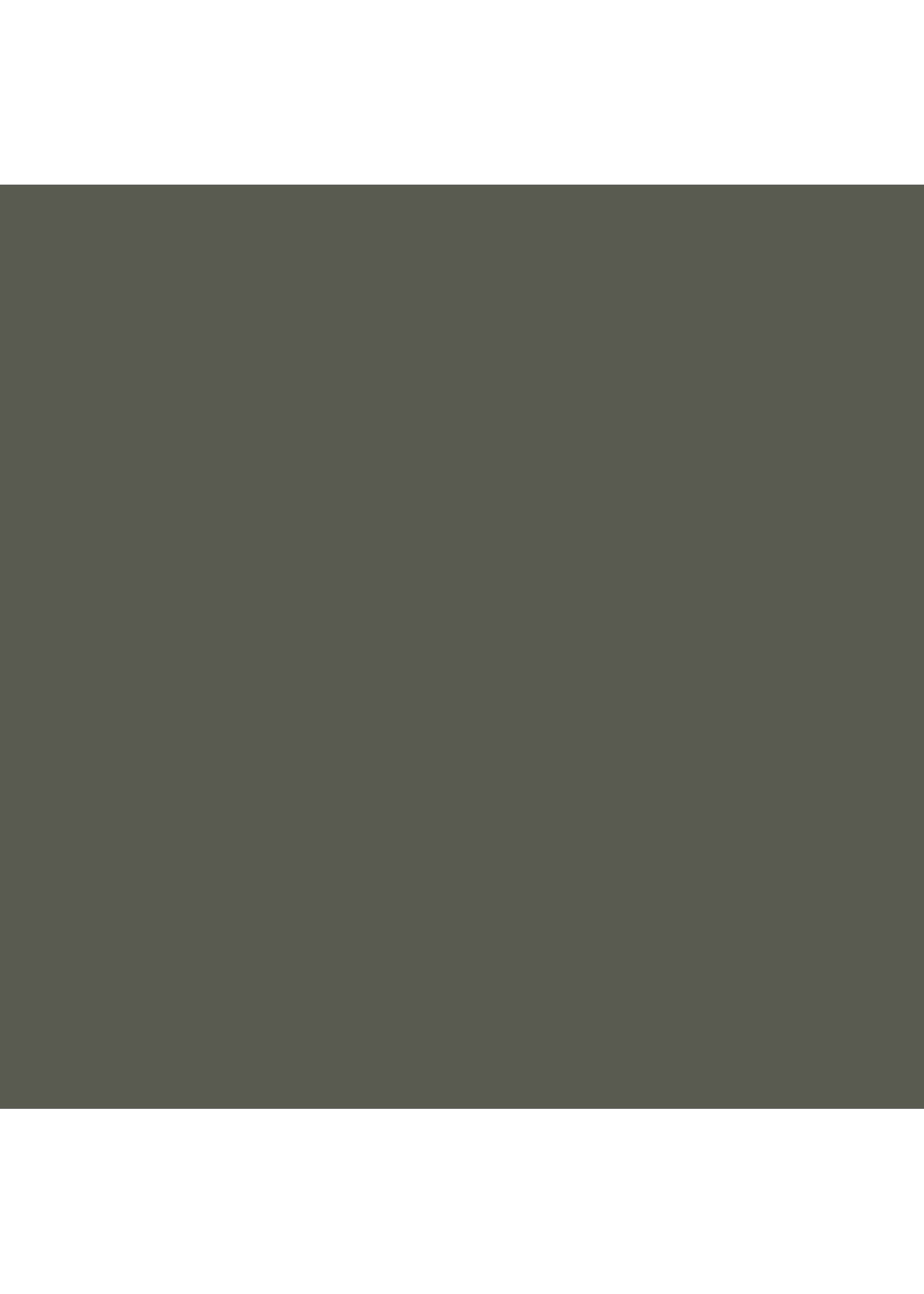 Mission Models MMP-089 - Dark Grey RLM 66 1oz