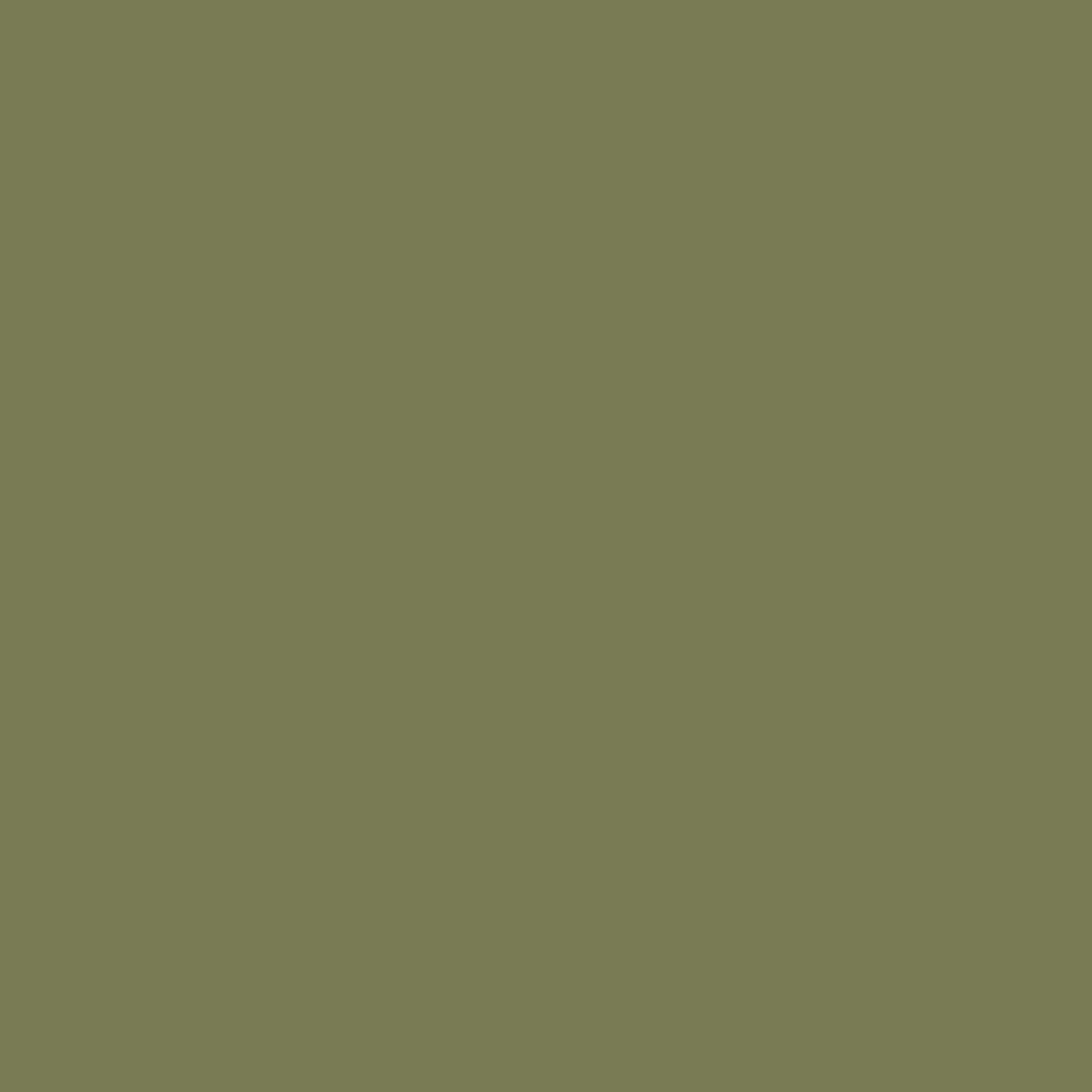 Mission Models MMP-020 - Olive Drab Faded 1, FS 34088 1oz