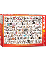 Eurographics The World of Cats - 1000 Piece Puzzle