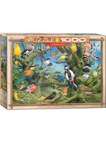 Eurographics Garden Birds by John Francis - 1000 Piece Puzzle