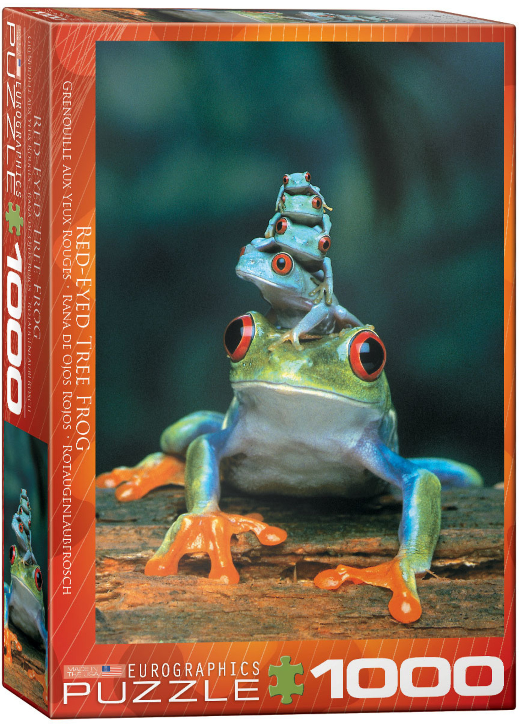 Eurographics Red-Eyed Tree Frog - 1000 Piece Puzzle