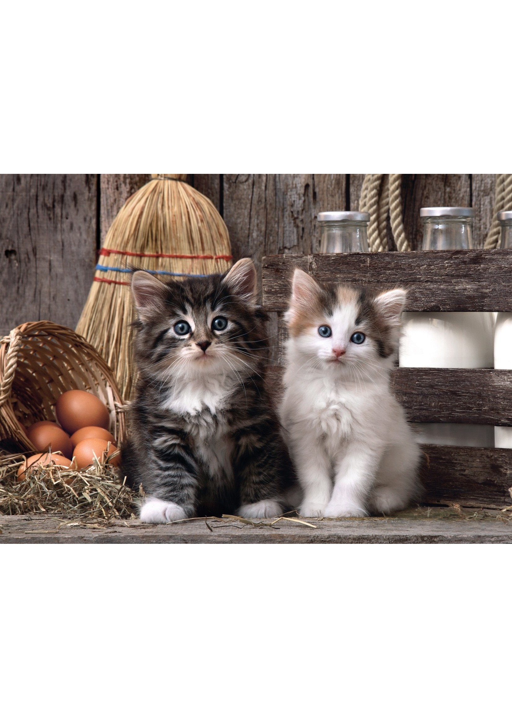 Clementoni Lovely Kittens - 1000 Piece Puzzle