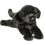 Douglas Jake Black Lab