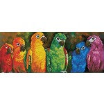 Diamond Dotz Rainbow Parrots - Facet Art Kit