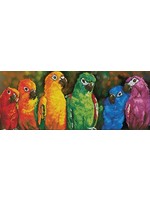 Diamond Dotz Rainbow Parrots - Facet Art Kit